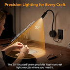 Industrial Matte Black Gooseneck Wall Reading Lamp - 25° Private Focused Beam (2-Pack)