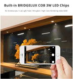 LRLEDS Luxury Gold & Silver Mini COB LED Spotlight - 3W Recessed Accent Light, High CRI >90 (35-40mm Cutout)